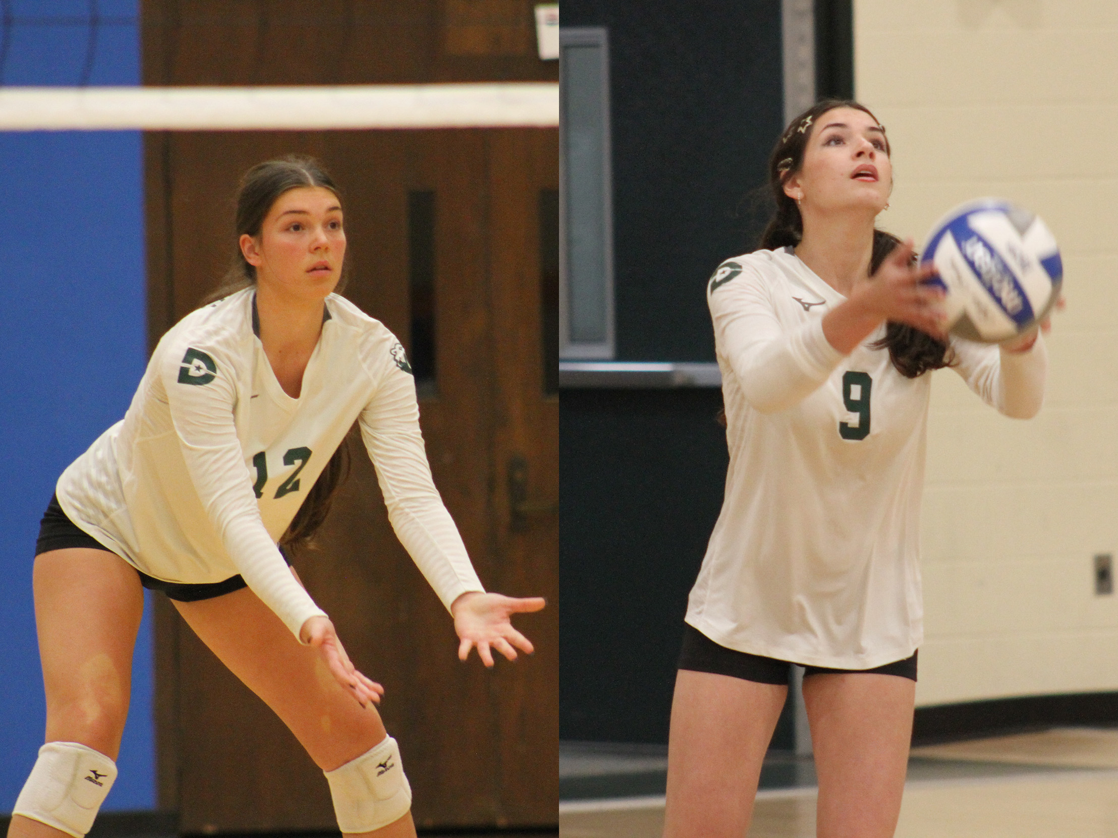 Simpson, Mitchell Named First Team All-DAC, Bears Collect Three Honors