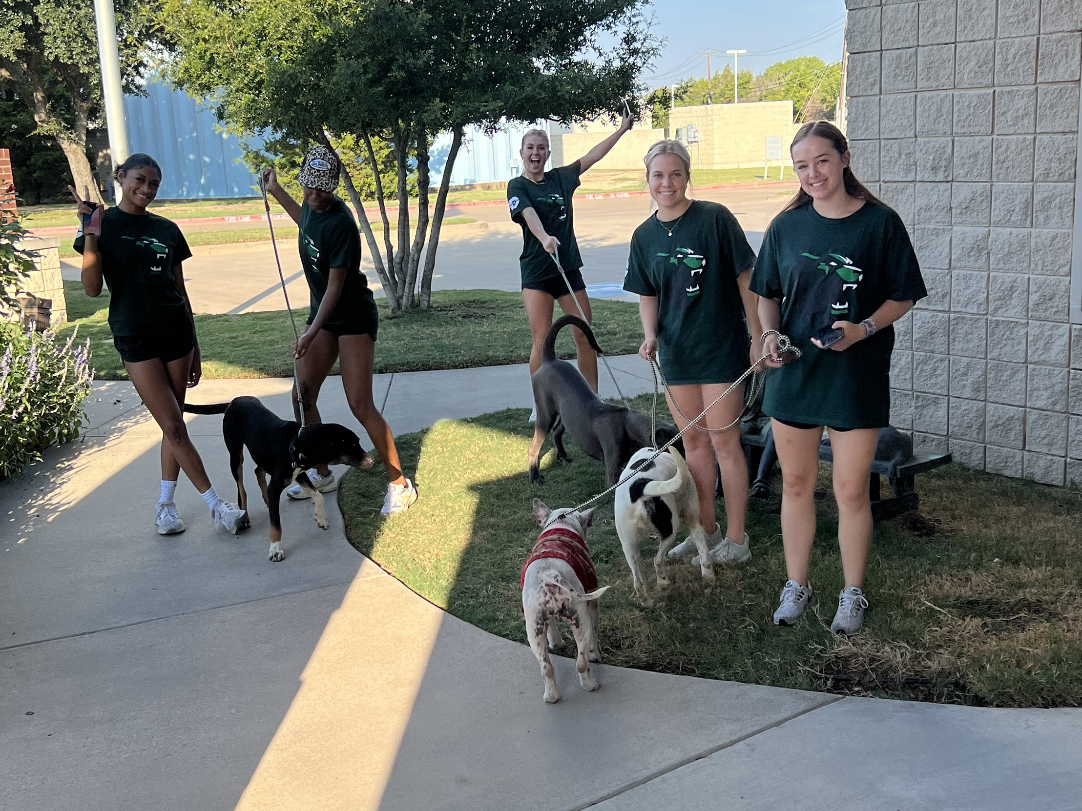 Bears Volleyball Volunteers at Animal Adoption Center